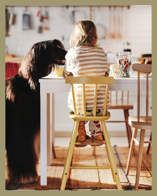 Unniño en una silla de comer y al costado un perro negro apoyando su ocico en la mesa de comedor.