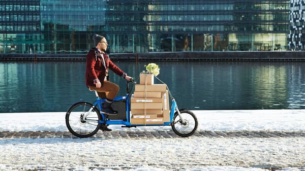 Uomo in bici lungo il fiume che trasporta in bicicletta i pacchi piatti di IKEA. 