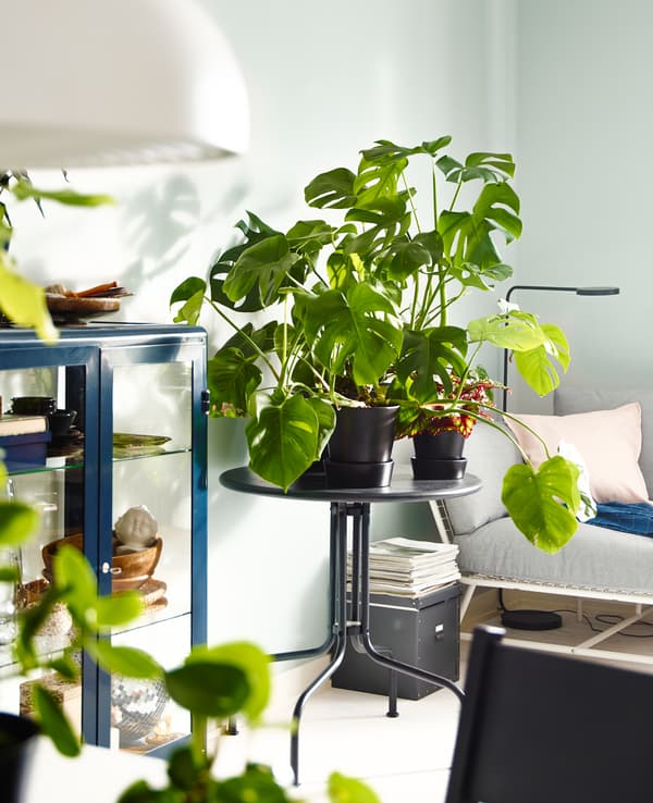 Update your living room with groups of plants! Put one on a side table for a fresh feel. IKEA offers a lot of tables, such as LÄCKÖ grey table. It’s traditional, organic wrought-iron shapes were inspired by the branches of an apple tree.