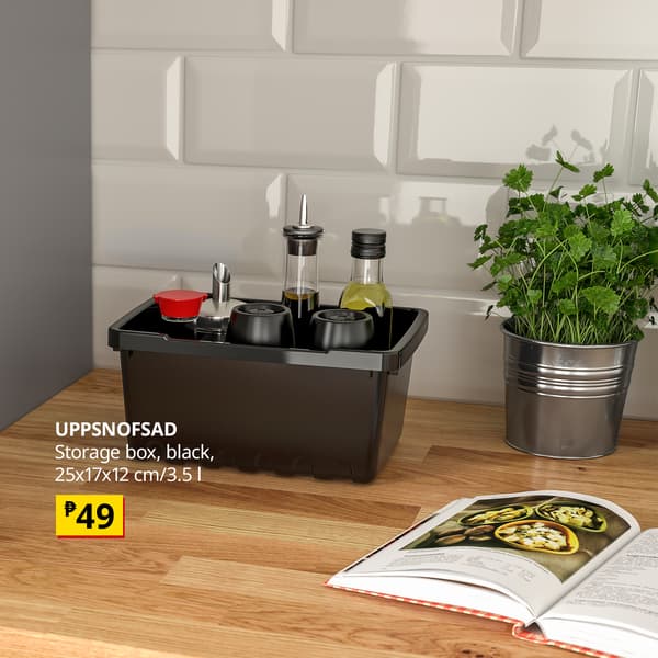 UPPSNOFSAD stor box 25x17x12 cm/4 l black