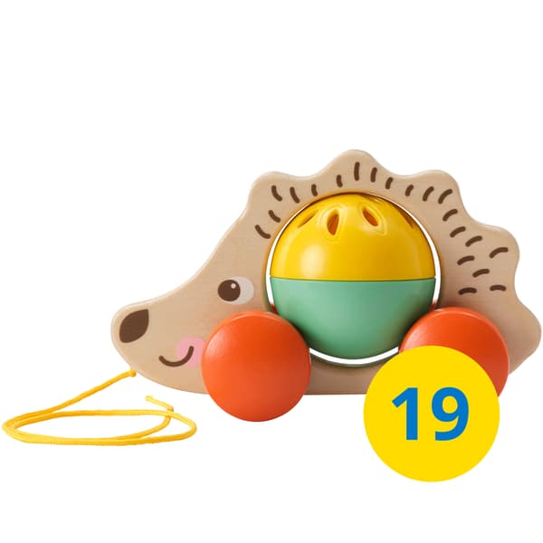 UPPSTÅ pull toy, hedgehog.