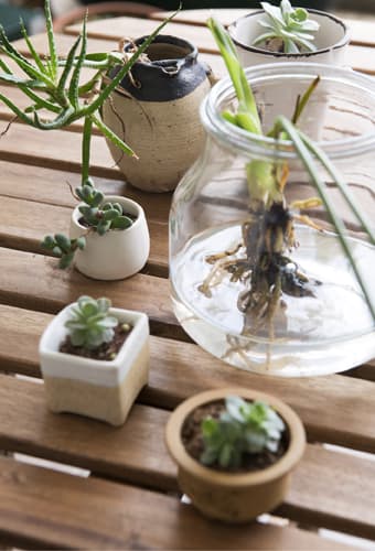 Use plants and natural objects of all shapes and sizes