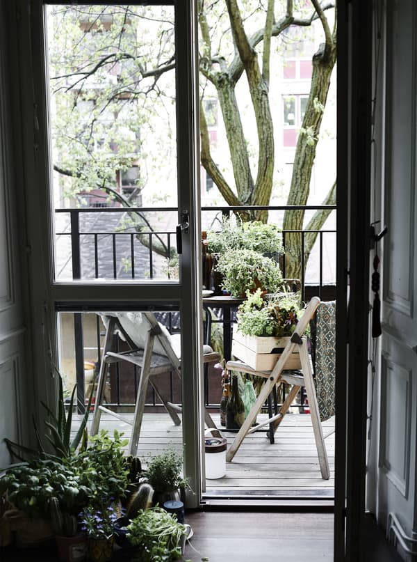 Use wooden crates to display and move plants