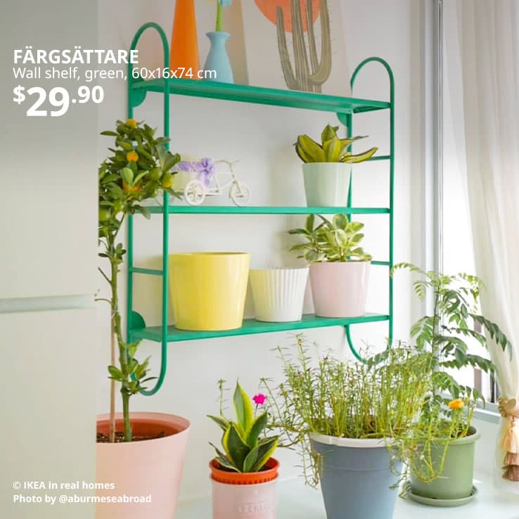 User generated content. Potted plants placed on wall mounted green FÄRGSÄTTARE wall shelf in Singapore.