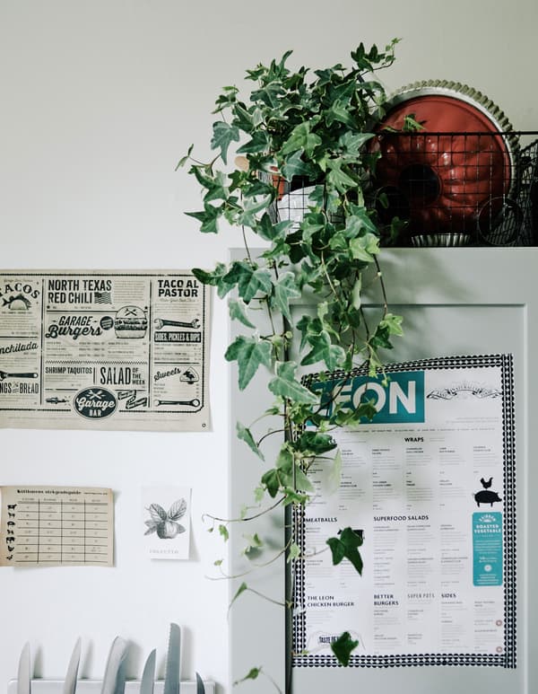 Utilise des plantes pour enjoliver les rangements .