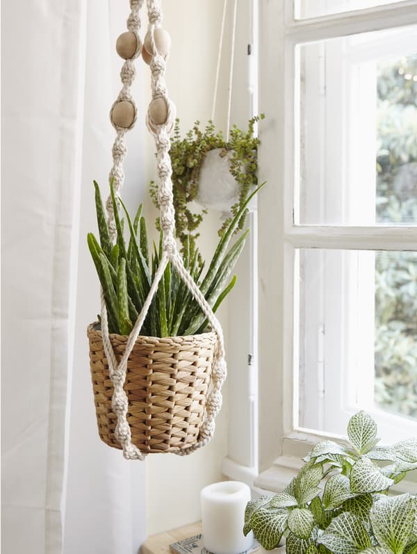 Utilisez le macramé pour exposer vos plantes d’intérieur