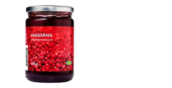 VAGGSÅNG