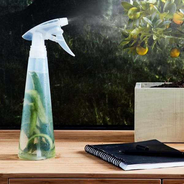 Vaporisateur en train de vaporiser une plante
