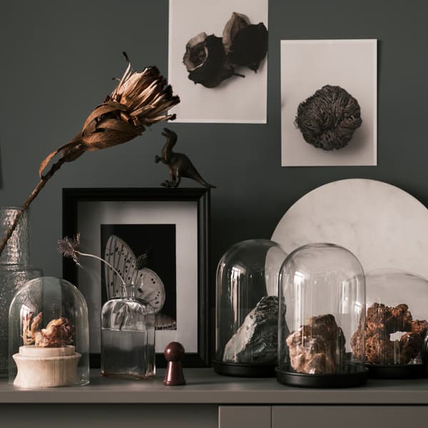 Varias rocas expostas en campás decorativas de vidro SKÖNJA na parte superior dunha vitrina HAUGA gris xunto a unha flor nun vaso de vidro.