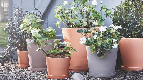 Various plant pots in natural colors with plants inside.