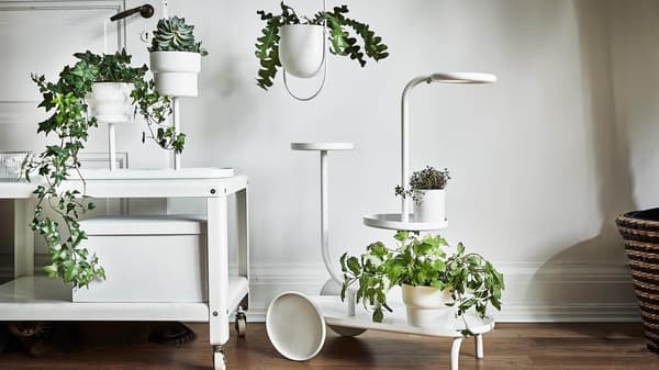 Various plants in white plant stands and pot holders.