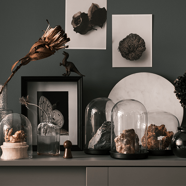 Various rocks displayed in SKÖNJA glass domes on top of a grey HAUGA glass-door cabinet, next to a flower in a glass vase.