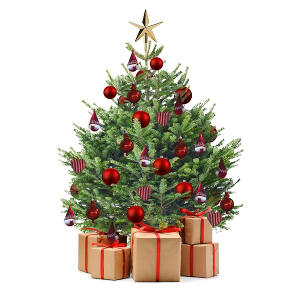 Vásárolj fenyőfát az IKEA áruházakban.