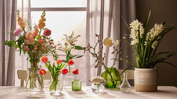 Vases in different sizes and shapes holding colourful flowers, all set on a table with a light tablecloth next to a window.