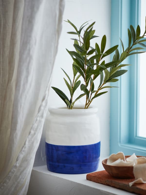 vases to showcase plants in the summer