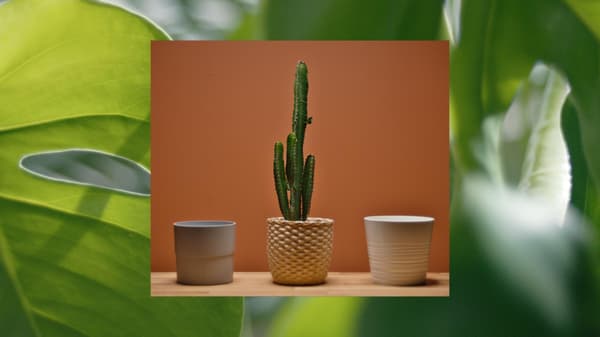 Vasos IKEA