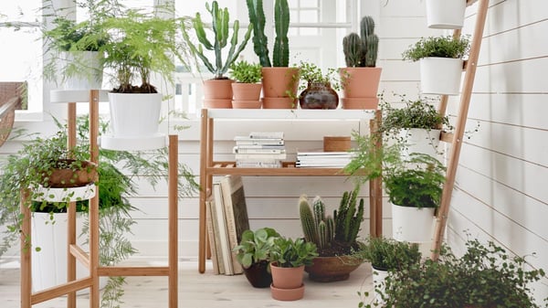 Verschiedene SATSUMA Pflanzenständer mit Pflanzen.