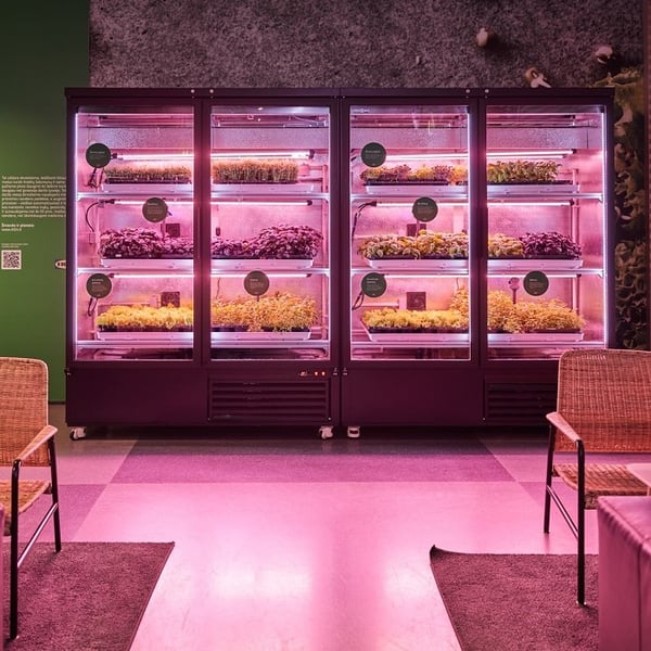 Vertical garden fridge