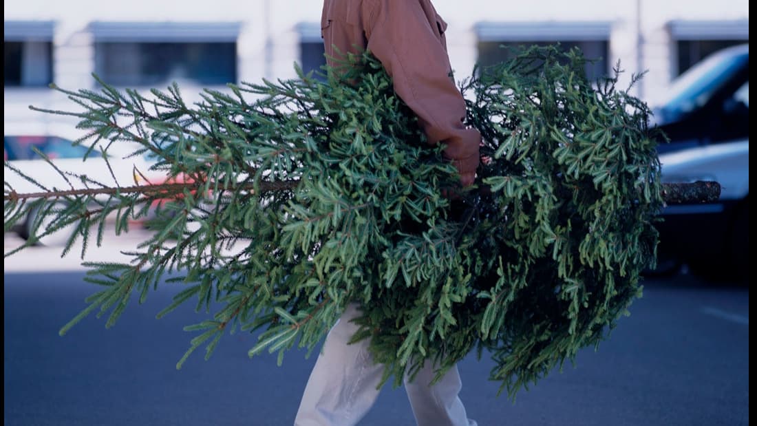 Vianočný stromček