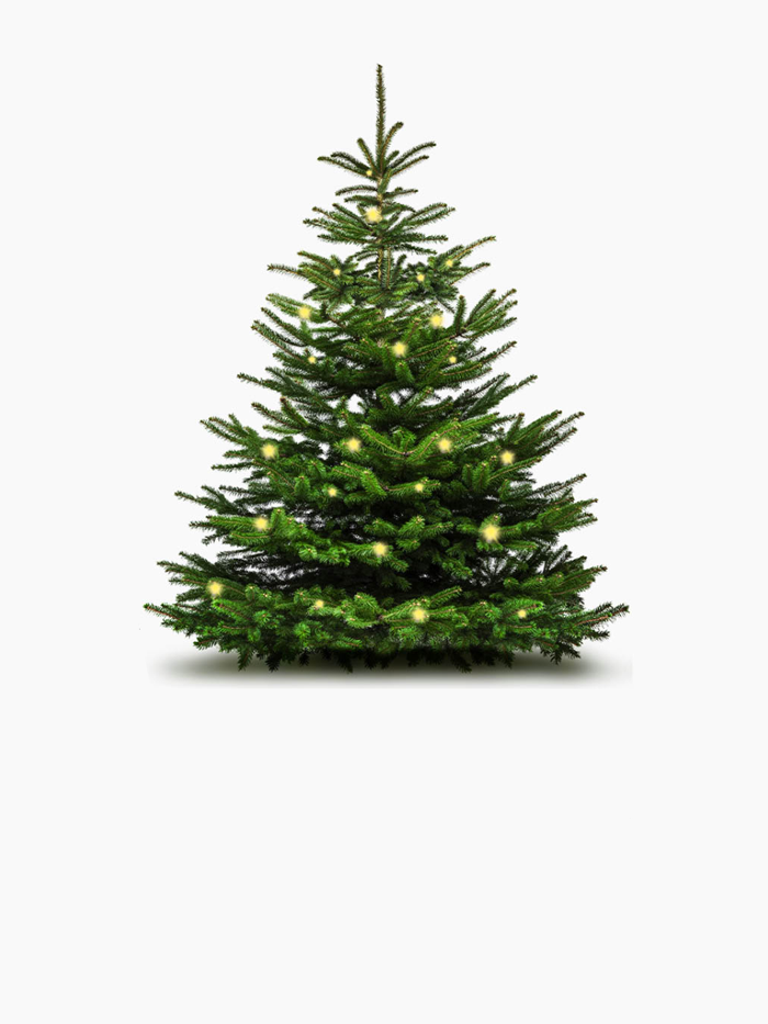 Vianočný stromček