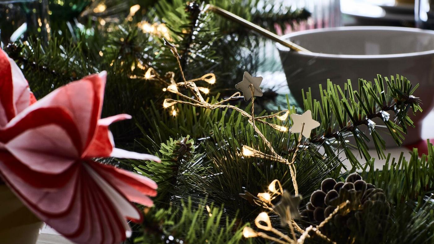 Découvrir la collection VINTERFINT