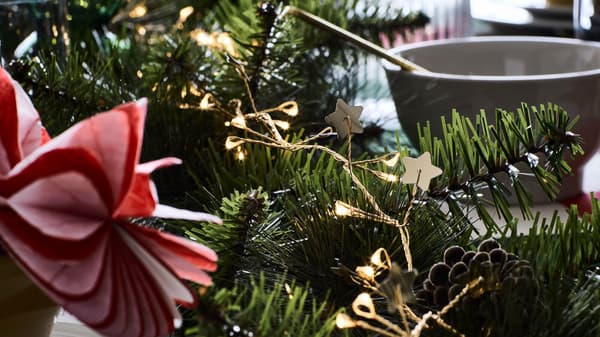 Découvrir la collection VINTERFINT