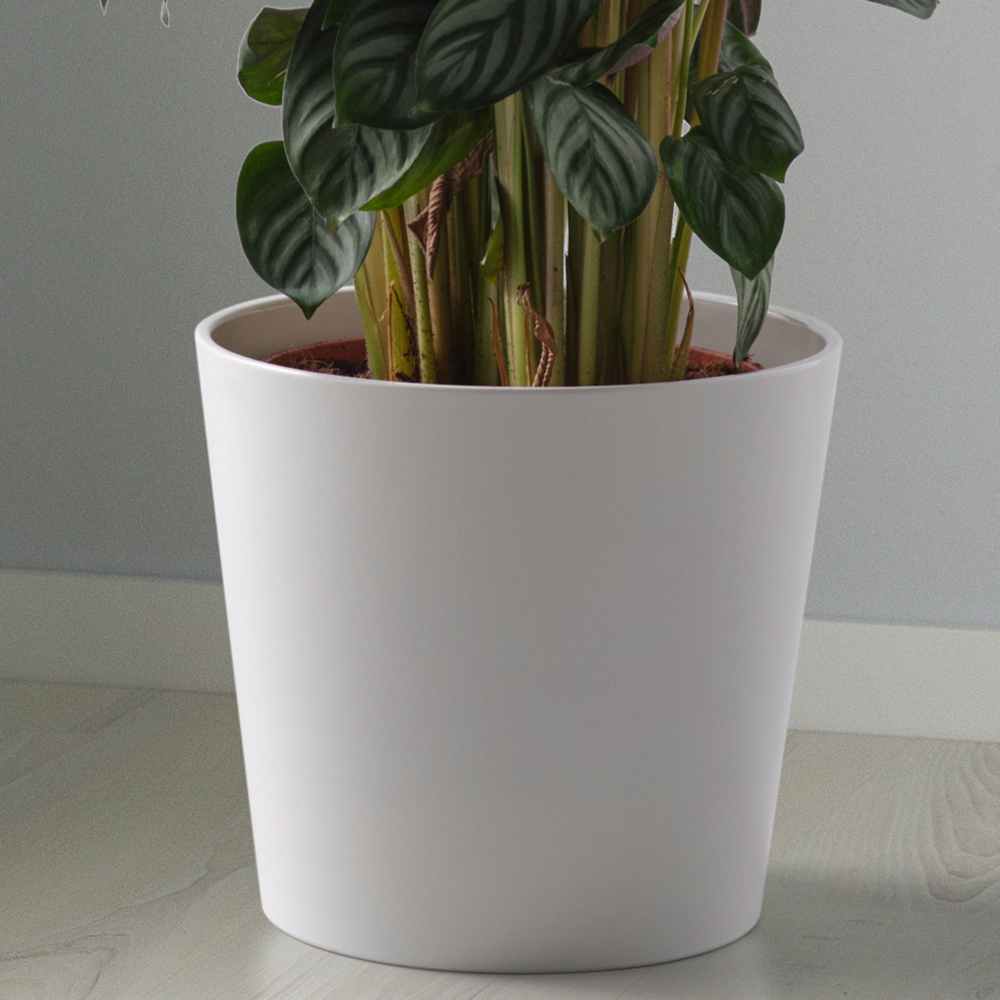 Vit stor kruka i fönster med grön växt stående på golv.