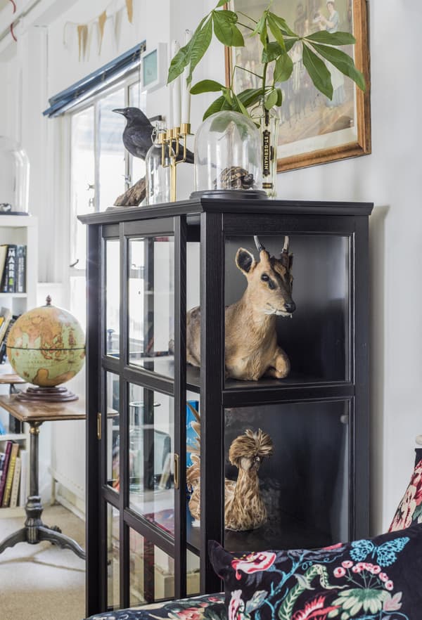 Vitrine avec animaux empaillés.