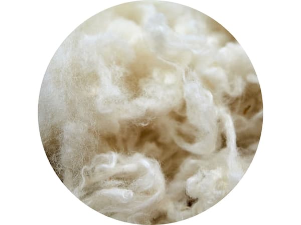 Vlna – prírodný a obnoviteľný materiál.