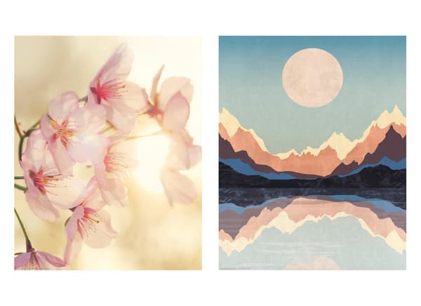 Voorbeeld van een poster met natuur: kunst met bloemen en bergen 