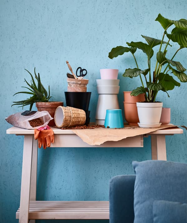 Vous cherchez des cache-pots ? IKEA en a plusieurs dans des tailles, des couleurs et des matériaux différents. Le cache-pot avec coupelle HJORTRON en faïence beige est percé d’un trou de drainage. Vous préférez la jacinthe d’eau tressée, la terre cuite ou l’acier? À votre service!