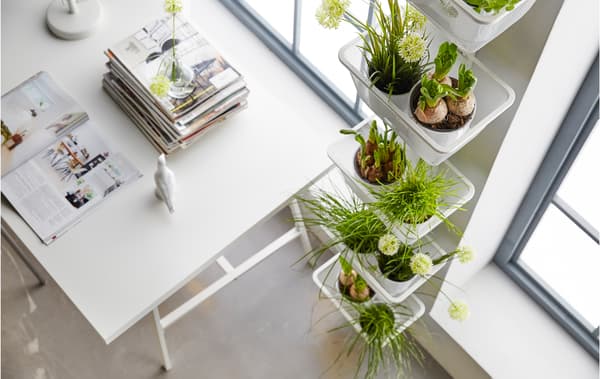 Mini jardinières et pots d'intérieur aux herbes aromatiques