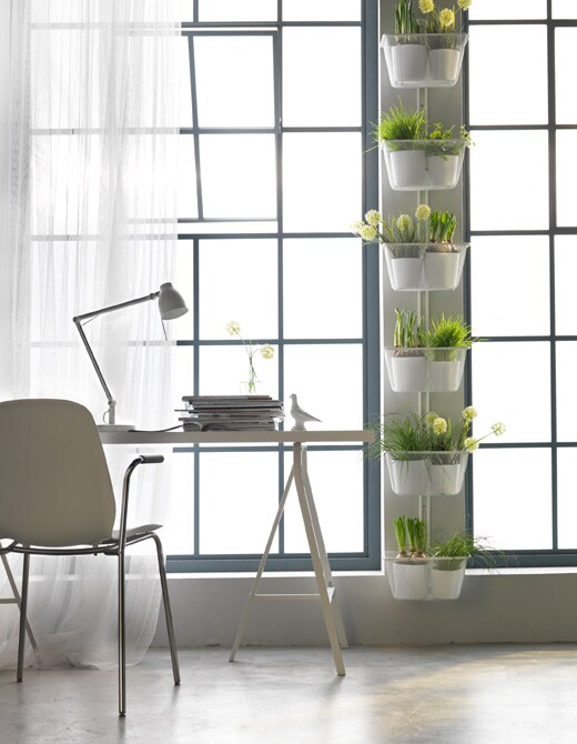 Vous rêvez d’un potager dans votre appartement? Allez au-delà de l’appui de fenêtre en tirant parti des murs entre les fenêtres.