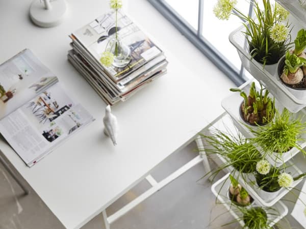 Vous rêvez d’un potager dans votre appartement? Voici comment maximiser l’espace.