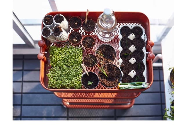 ワゴンに植物をまとめる