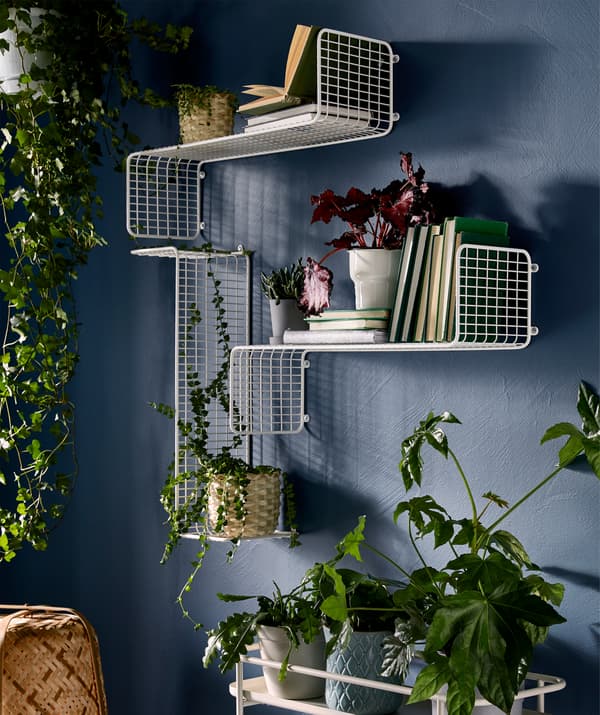 Wall with plants displayed in various ways: hanging, on shelves along the wall with books, on a vertical plant stand.