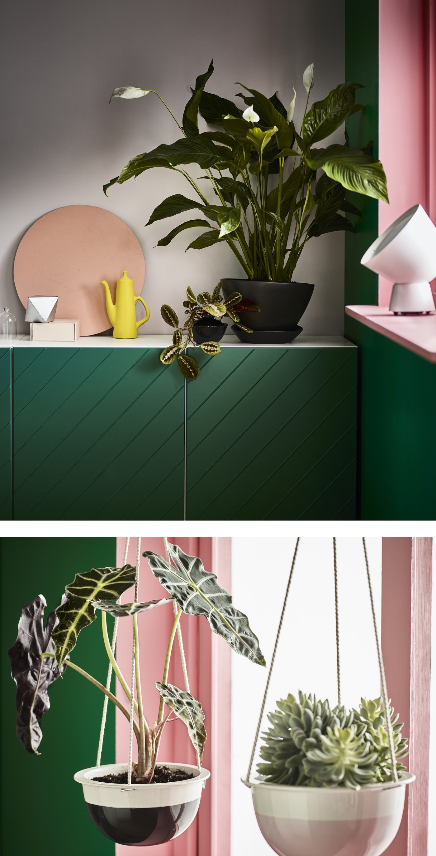 Houseplants a basic guide to growing IKEA