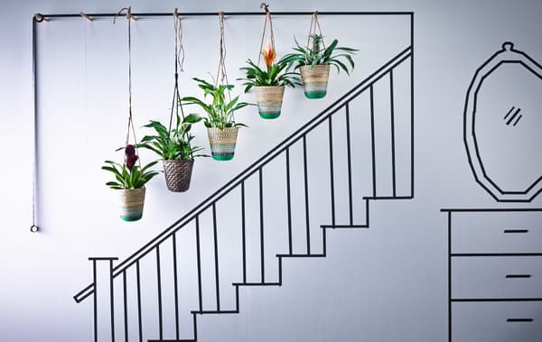 Want to be more than a window gardener?