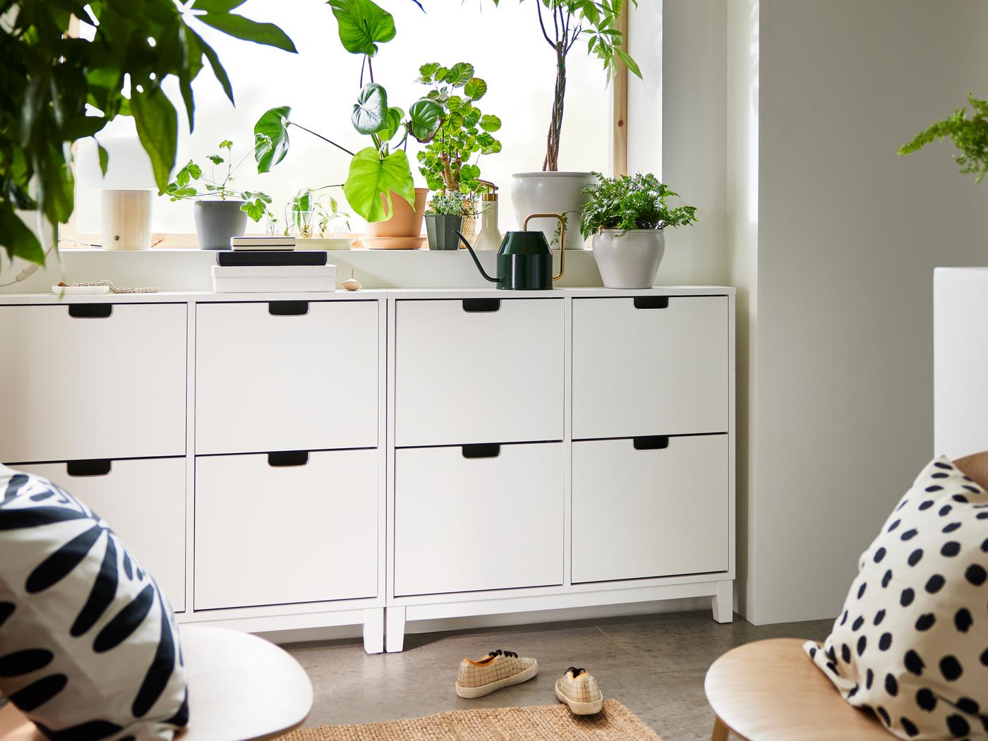 White shoe cabinets in the hallway with a collection of plants on the window ledge
