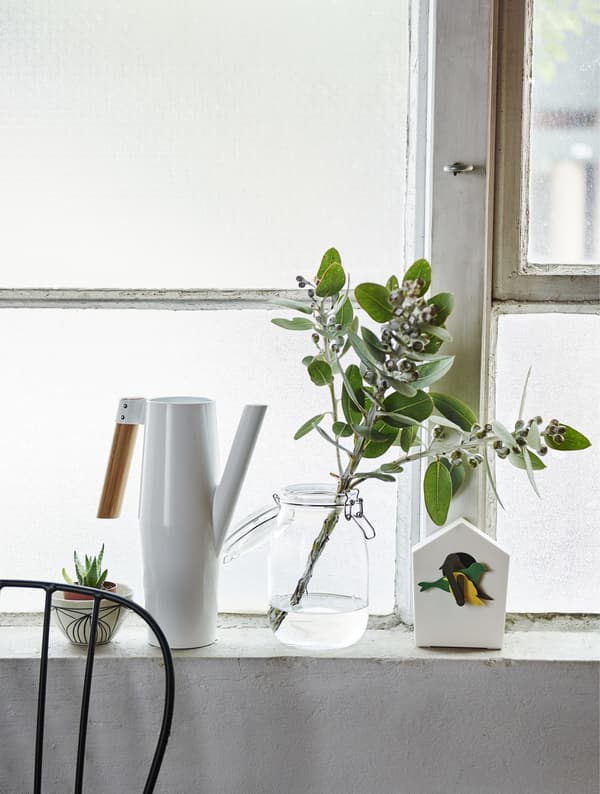 White watering can and jar with plants on a windowsill.