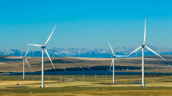 wind generators on grassland
