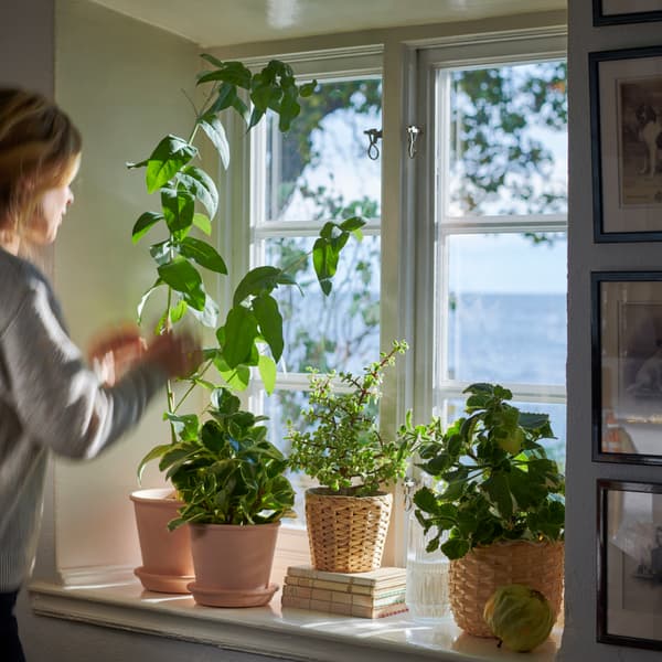 Windowsills to put your plants on