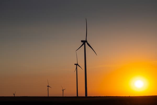 Windräder stehen auf einem Feld vor einer strahlenden Sonne.