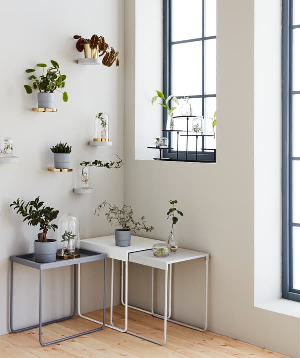 With the right display solution, like a SAMMANHANG stand or glass dome, plants and cuttings can be just as decorative as flowers in full bloom.