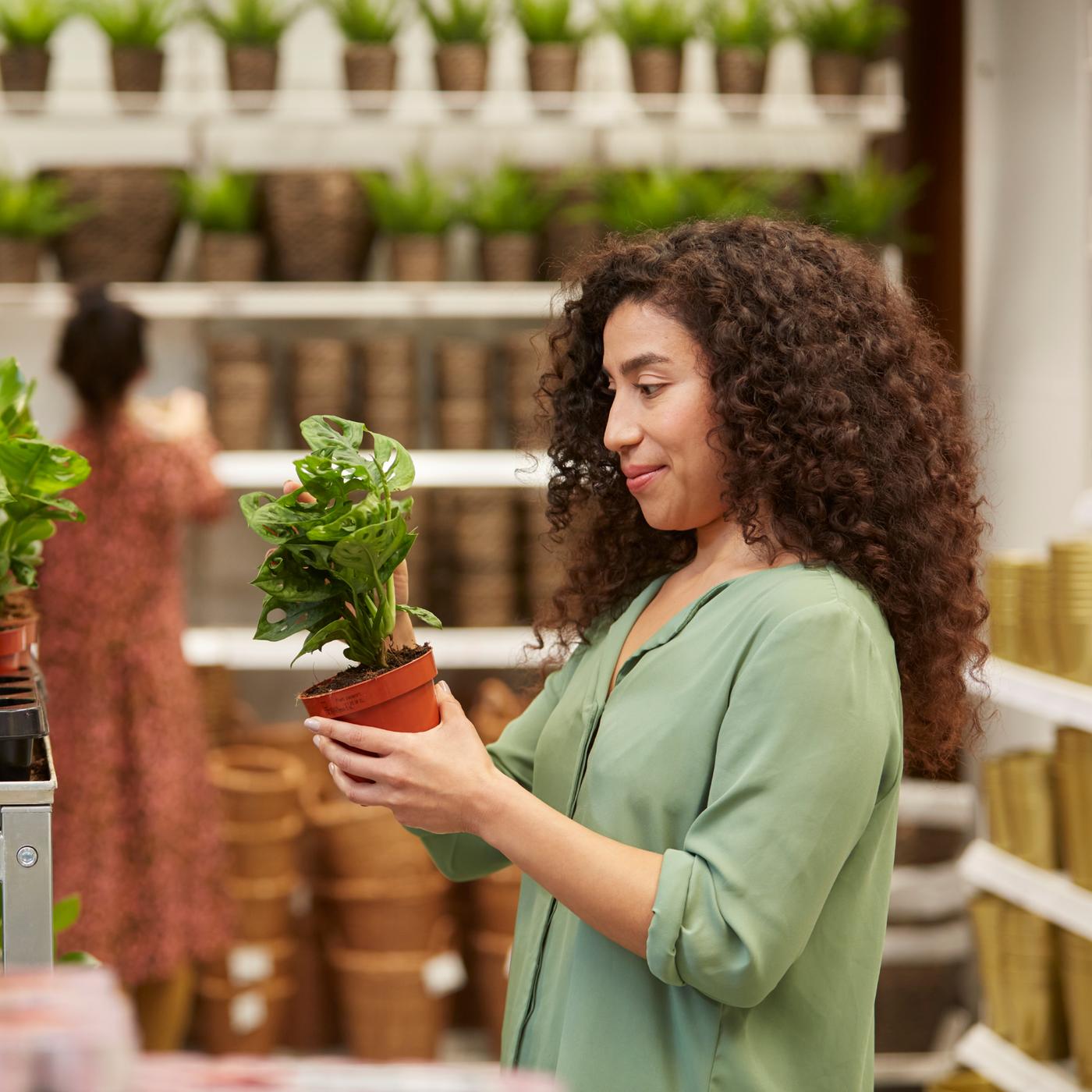 Woman looking at a plant