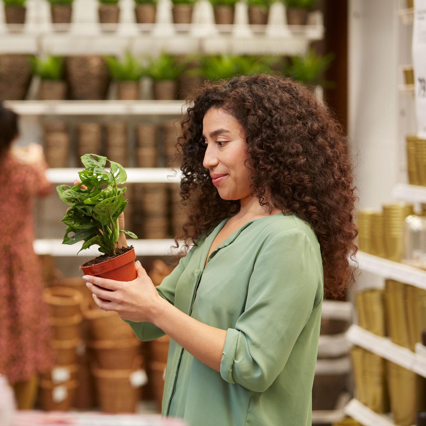 Woman looking at a plant
