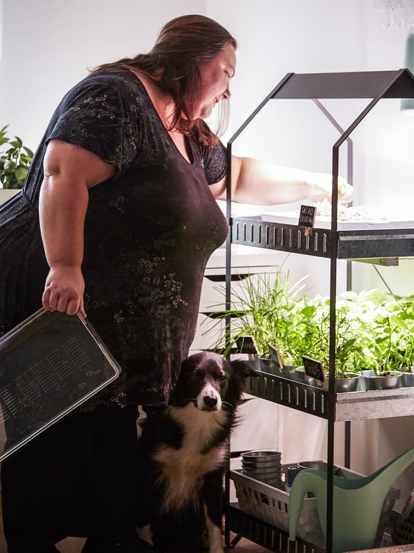 Woman with dog by her feet, reaching into hydroponic system.