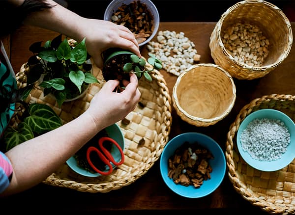 Woven baskets on a table with pots of planting materials and a pair of hands holding a nursing pot.