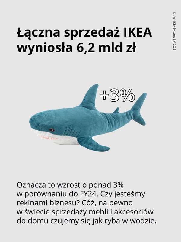 Wyniki finansowe IKEA 2025