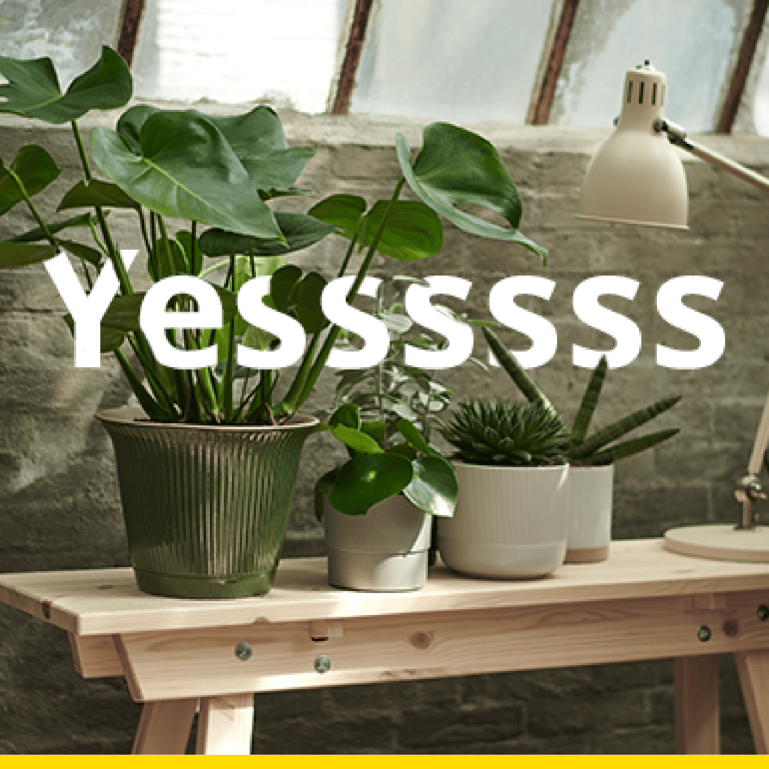 Join IKEA Family for free IKEA Ireland